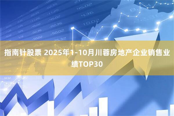 指南针股票 2025年1-10月川蓉房地产企业销售业绩TOP30